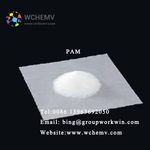 High Quality PAM Chemical Powder Water Treatment