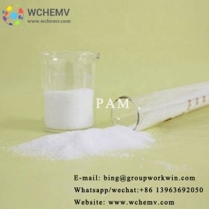 Coal Washing Anionic Polymer Flocculant Chemical Agent PAM