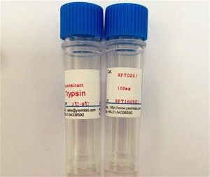 Sequencing Grade Trypsin