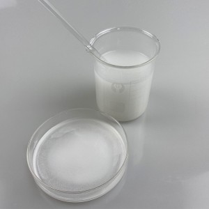 Factory Wholesale High Quality Redispersible Emulsion Powder Rdp-Polymer for Wally Putty Tile Adhesive