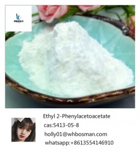 Factory Supply New BMK Glycidate Powder CAS: 5413-05-8